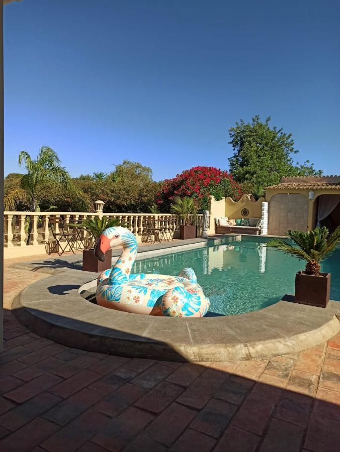 Bed and Breakfast Quinta Pereiro Tropic Garden, Algarve à Moncarapacho Extérieur photo
