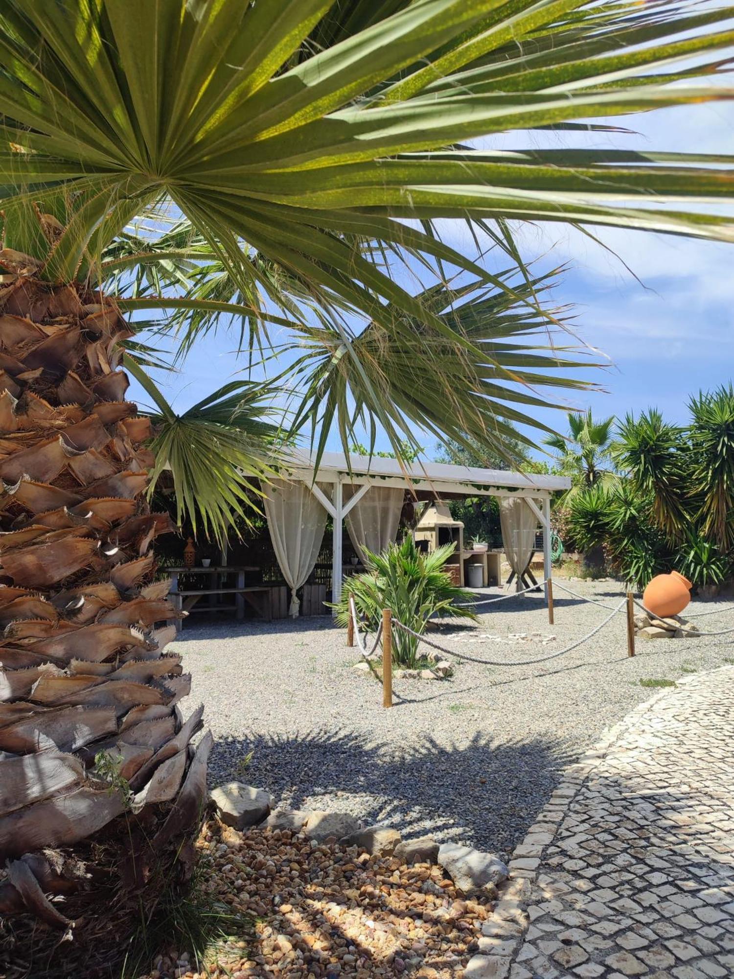 Bed and Breakfast Quinta Pereiro Tropic Garden, Algarve à Moncarapacho Extérieur photo